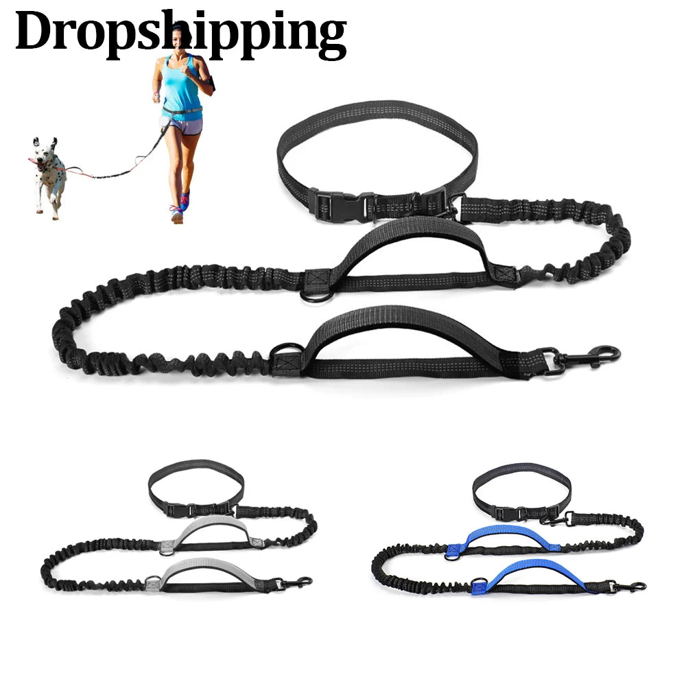 High Qulity Retractable Hands Free Dog Leash For Running Dual Handle Bungee Leash Reflective For Large Dogs Pet Supplies